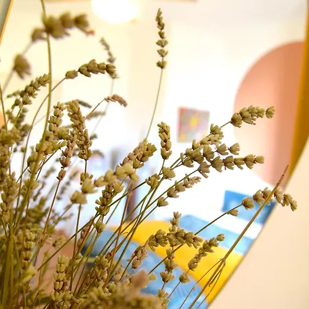 Quartier Chic L L Gare L Tramway *